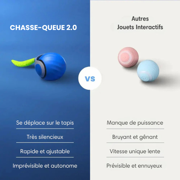Chasse-Queue 2.0 - Le jouet parfait pour votre chat!