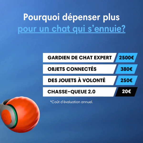 Chasse-Queue 2.0 - Le jouet parfait pour votre chat!