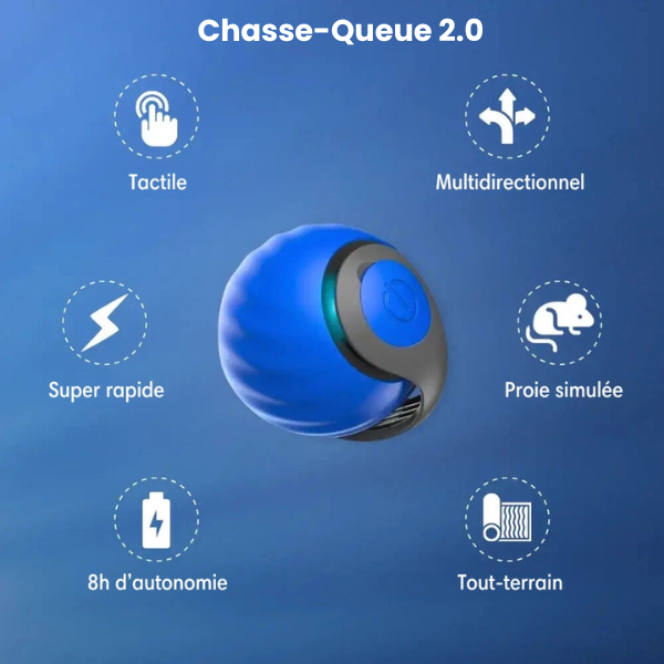 Chasse-Queue 2.0 - Le jouet parfait pour votre chat!